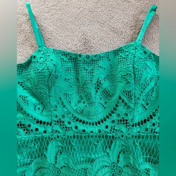 Lilly Pulitzer Brazilian Green Risette Lace Dress - Picture 7 of 15